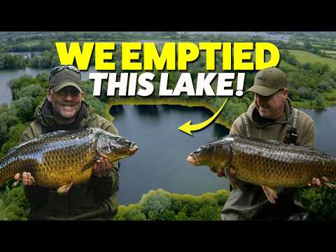 Dna Baits