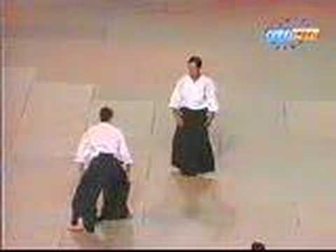 another aikido demonstration