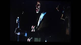 Moby Grape Monterey Pop 1967