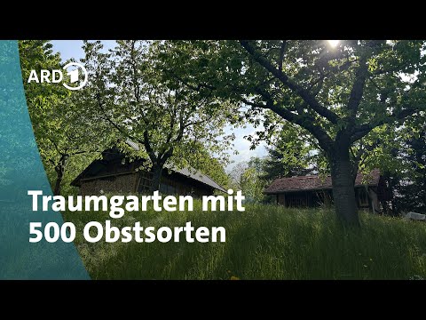 Fruit variety paradise in Thuringia: A collector's dream garden | MDR Garden