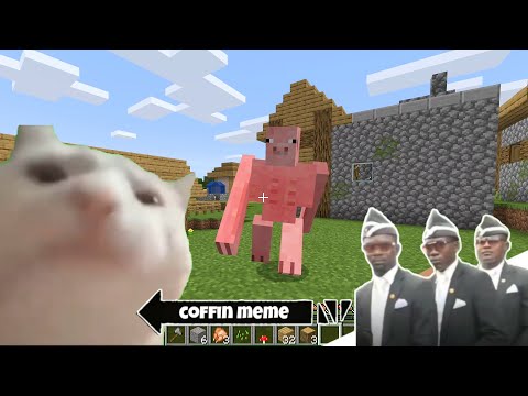 Coffin Meme but Cat is Vibing Part 7 - Minecraft