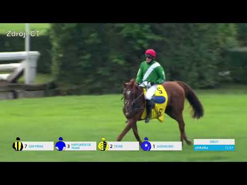 2. 9. 2023 - 6. dostih - Velká cena města Pardubic – EURO EQUUS – IV. kvalifikace na 133. Vp se Sp