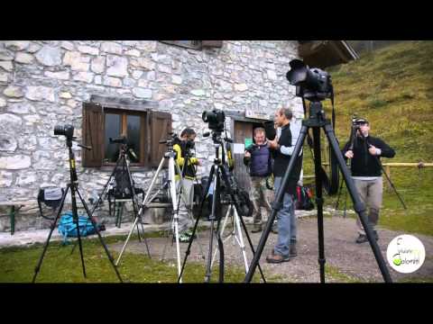 Into the "wilderness" Workshop Fotografico nel Parco Naturale Dolomiti Friulane