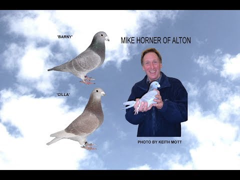 Video 365: Mike & Theresa Horner of Alton (Part 2): Show Pigeons