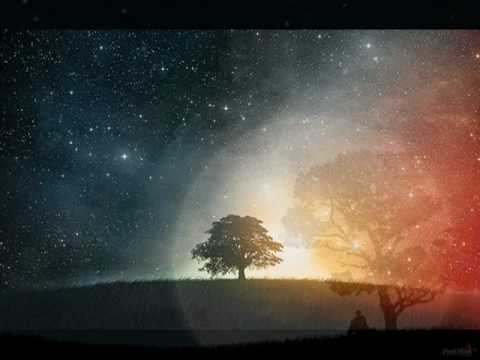 Purcell: Hail! Bright Caecilia - Thou Tun'st This World (Philippe Herreweghe: Collegium Vocale Gent)