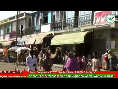 Oduu Ganama ONM-ABO Sadaasa 17-2025 itti dhiyaadhaa!