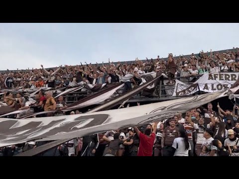 "Yo te quiero Calamar" Barra: La Banda Más Fiel &bull; Club: Atlético Platense
