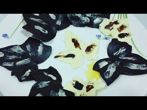 Frunze din ciocolata.Ojas de chocolate.Chocolate leaves.