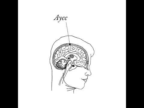 Szatt + Sonar Soul - Ayee [UKM 129] HIMALAYA COLLECTIVE