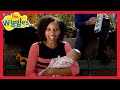 The Wiggles: Miss Polly Had a Dolly (feat. Dennisha Pratt) | Kids Songs