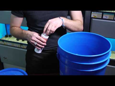 How to Purify Tap Water for Your Aquarium : Aquariums & Fish Care