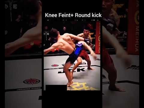 Knee Feint + Round Kick Re-create 💪🦵 #fighter #taekwando #kick #mma #trendingnow #viral #shorts
