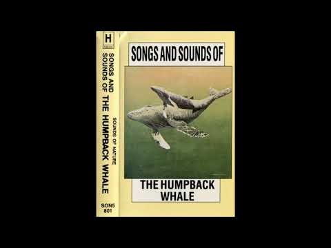 Unknown Artist ‎– Songs and Sounds of the Humpback Whale (1987) FULL ALBUM