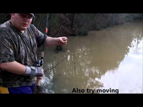 How to start fishing