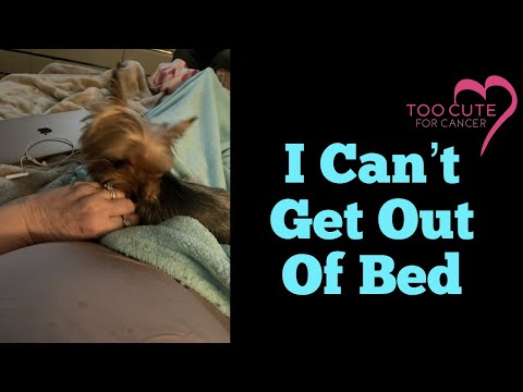 I Can't Get Out Of Bed!