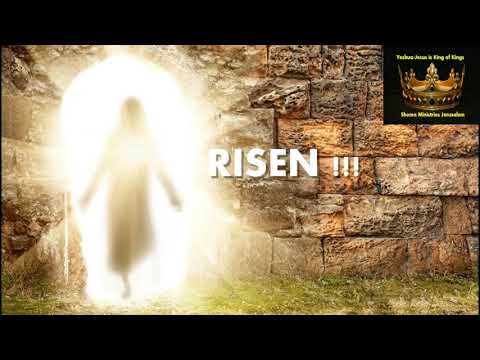 Blood on Mercy Seat was Tested and it's ALIVE!!!  Ron Wyatt; Henry Gruver;