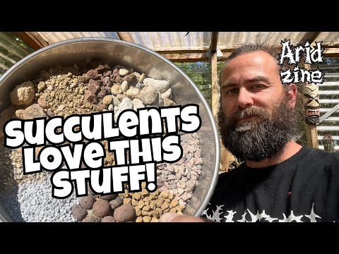Cactus & succulent soil ingredients: the good, the bad and the useless