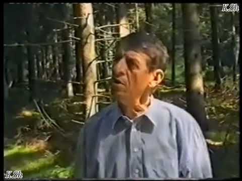 Adem Mikullovci skeq pom njek vllau