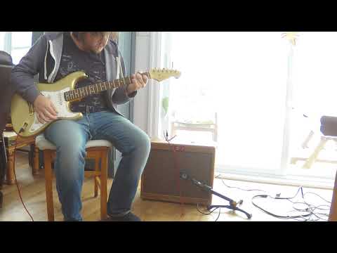 Lazy J 20 with Fender Custom Shop 60's reissue Strat 50th Anniversary