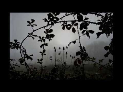 Videoclip de Azincourt — Francis Cabrel
