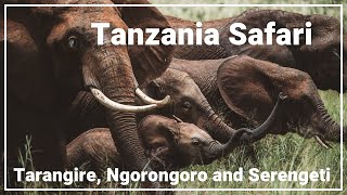Tanzania Luxury Safari