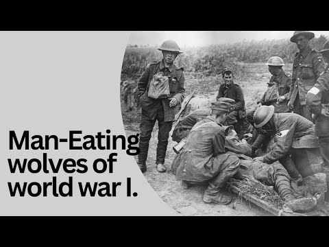 Man-Eating Wolves that preyed on soldiers during World War 1.