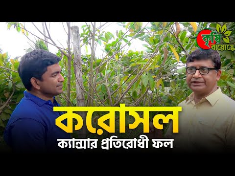 করোসল(Corossol) - ক্যান্সার প্রতিরোধী ফল- বাংলাদেশের মাটিতে