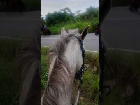 Cavalgada em Pedras, Muribeca 25/04/2026