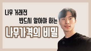 나무거래전에 반드시 알아야할 ‘나무가격’의 비밀! (조경수 구매, 조경수 판매시 필독!)