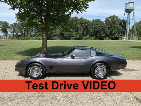 1981 Chevrolet Corvette (CC-1627286) for sale in Shelby Township, Michigan