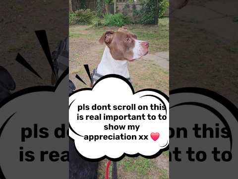 Pls WATCH GUYS, I really need you to hear this, love u all #positivevibes #family xx 😘 💖 ❤️