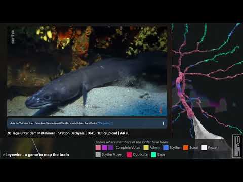 Arte -- 28 Tage unter dem Mittelmeer - Station Bathyale