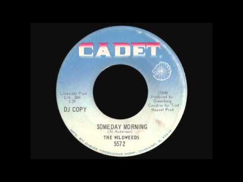 Wildweeds - Someday Morning