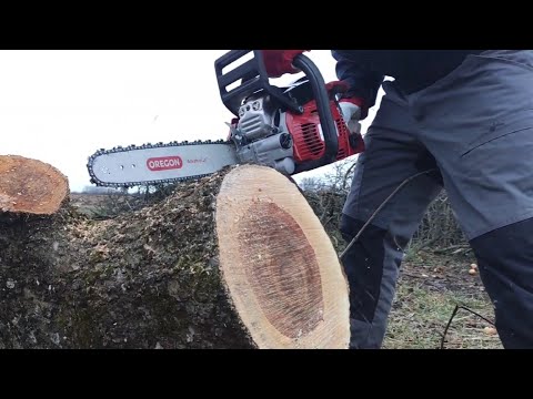Solo by AL-KO, are these good chainsaws? Model 6656.