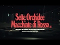 Ozarks Seven Blood Stained Orchids Main Titles
