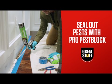 Great Stuff Pro™ Pestblock Spray Foam Sealant Kit Includes a Great