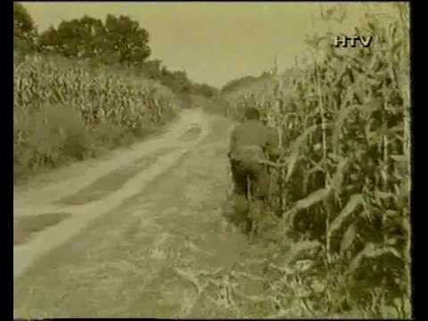 Zlatni dukati - Oj, Hrvati, oj, junaci