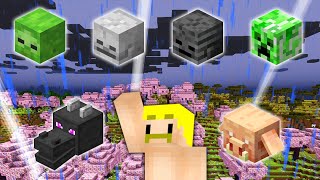 穴に落ちるドズさん好き - 【マイクラ】MOBの頭全部集めるまで終われません!