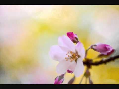 DALL'IMMAGINE TESA - Rebora Clemente