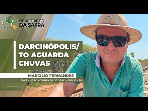Produtores ainda aguardam chuvas mais consistentes para semear a soja em Darcinópolis/TO