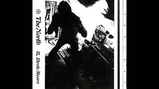 R. Stevie Moore - The North (1978) (Full Album)
