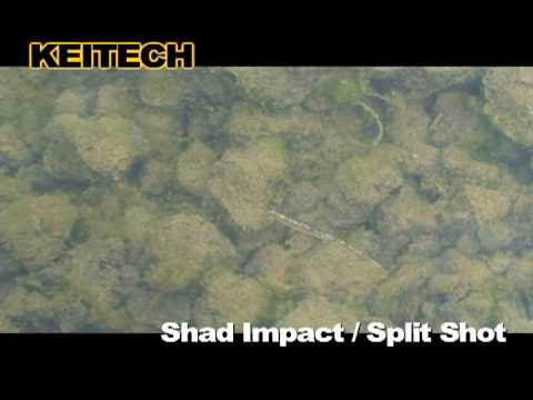 Keitech Shad Impact Fire Chart 53