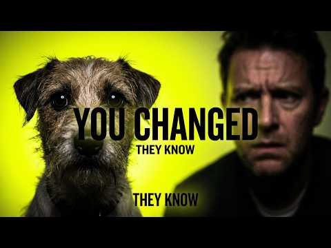 Dog Psychology | The Moment Your Dog Realizes You’re Not Who They Thought