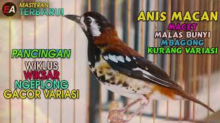 Download lagu TERAPI ANIS MACAN 1 JAM NGEPLONG DAN NGEROL mp3 Download lagu TERAPI ANIS MACAN 1 JAM NGEPLONG DAN NGEROL mp3
