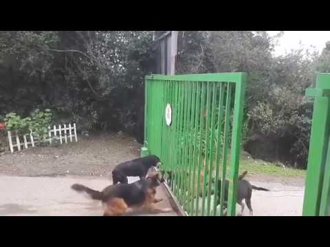 Споры в Интернете