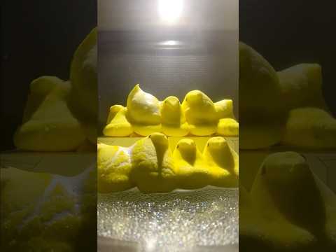 Microwave Peeps?!…