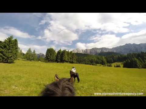 The Alpine Adventure Agency presents our new partner: Lagorai Horse Trekking!