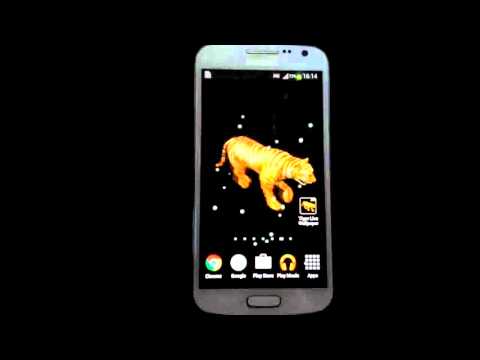 Tiger on my screen Video