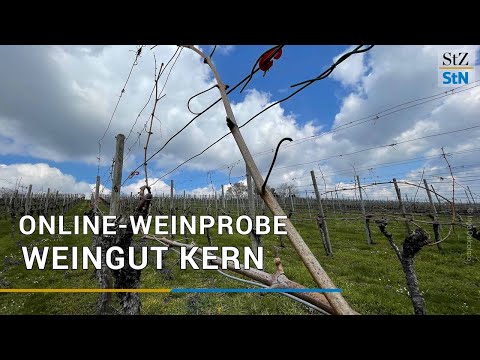 Online-Weinprobe mit dem Weingut Kern