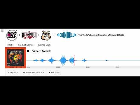 Hollywoodedge, Monkeyunknown Screa AT057801